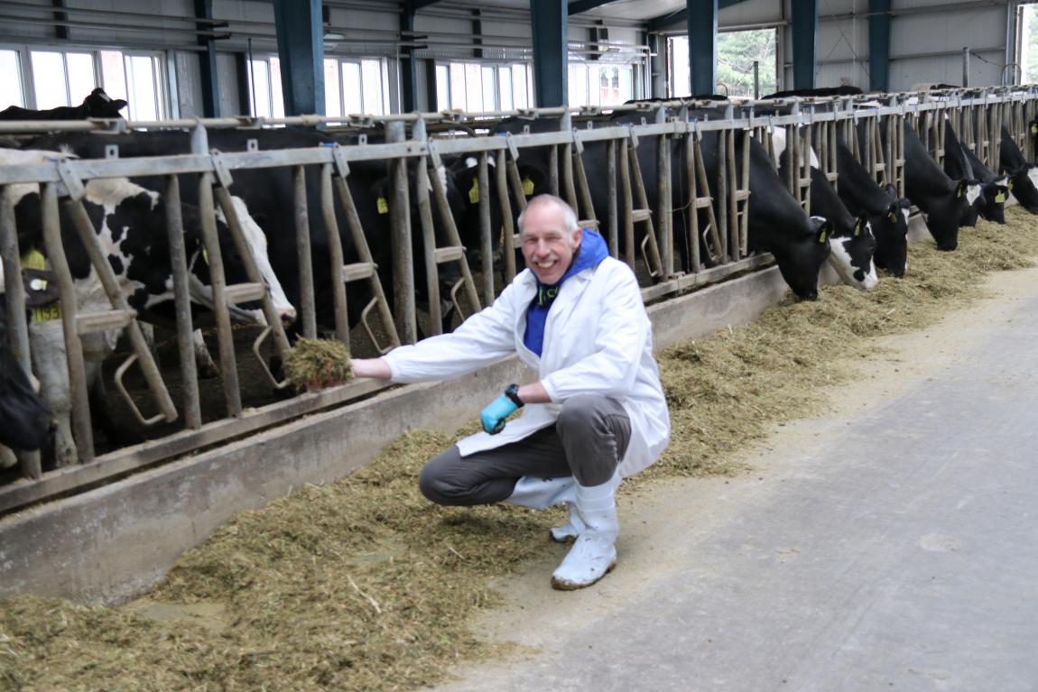 5dad6b38be003.jpg 3.jpg